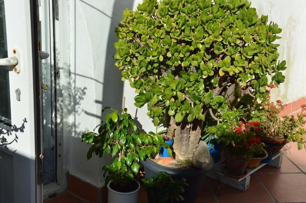 B&B Spiraglio Syracuse Exterior foto